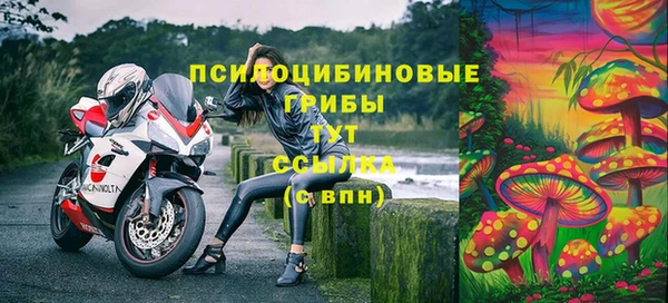 соль курить ск Богданович