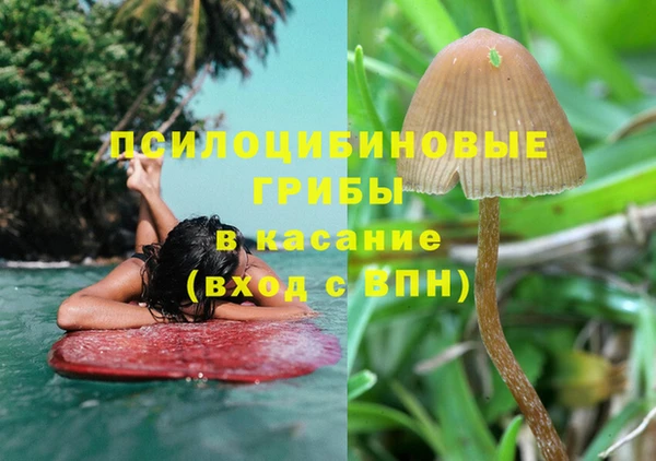 кокаин премиум Богородицк